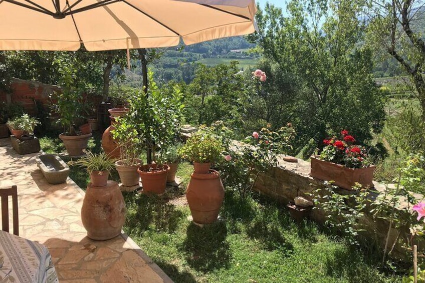 Discover the Tastes of Tuscan Home Cooking