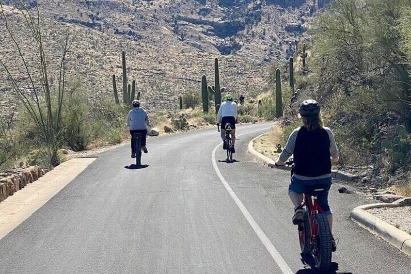 Saguaro National Park East E-Bike Tour