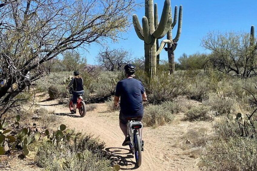 Saguaro National Park East E-Bike Tour