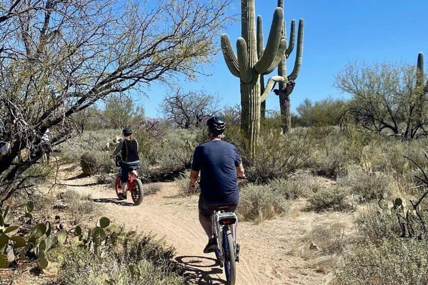 Saguaro National Park East E-Bike Tour