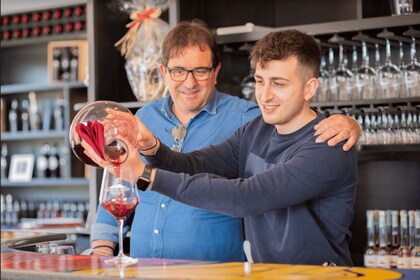 Monte Vesubio: recorrido por los viñedos con degustación de vinos y almuerz...