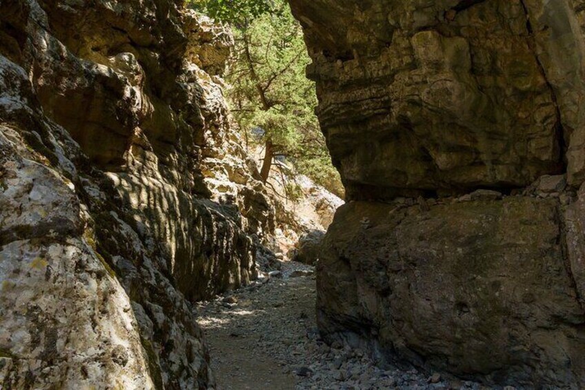 Imbros Gorge Adventure Day Trip from Chania 