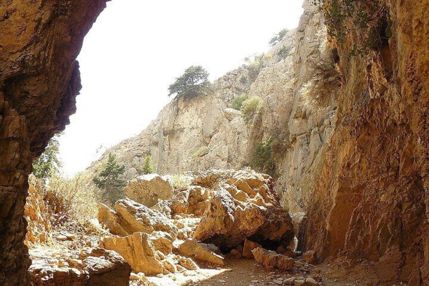 Imbros Gorge Adventure Day Trip from Chania 