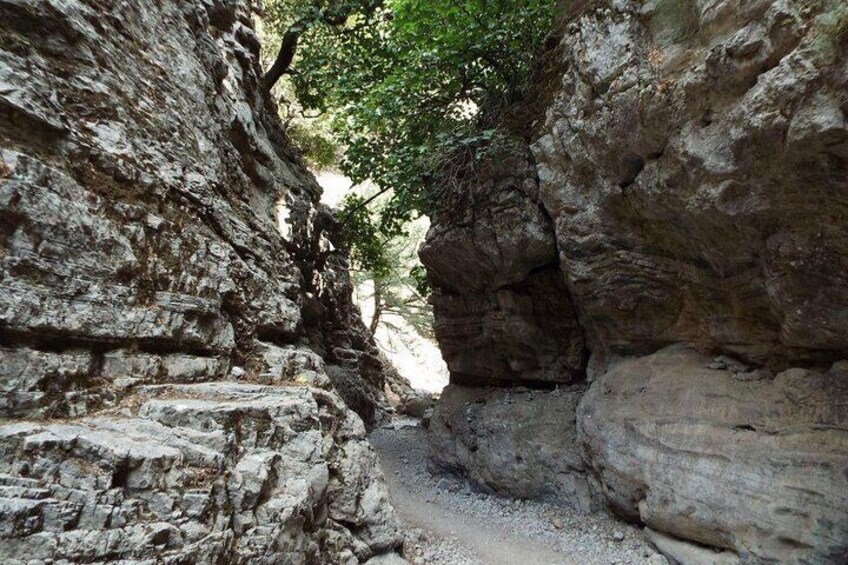 Imbros Gorge Adventure Day Trip from Chania 