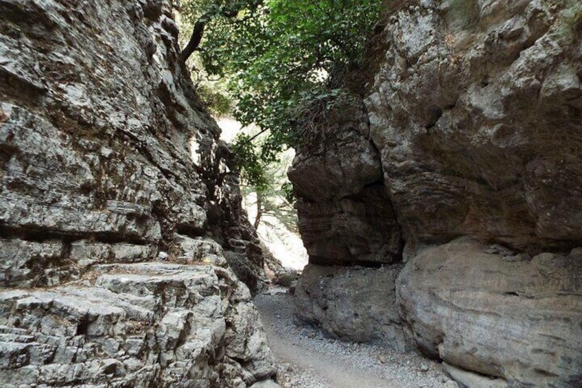 Imbros Gorge Adventure Day Trip from Chania