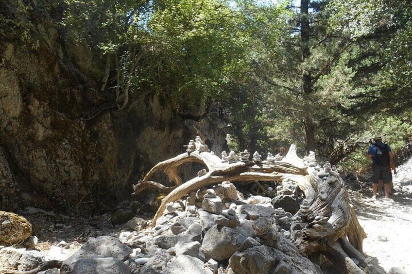 Imbros Gorge Adventure Day Trip from Chania 