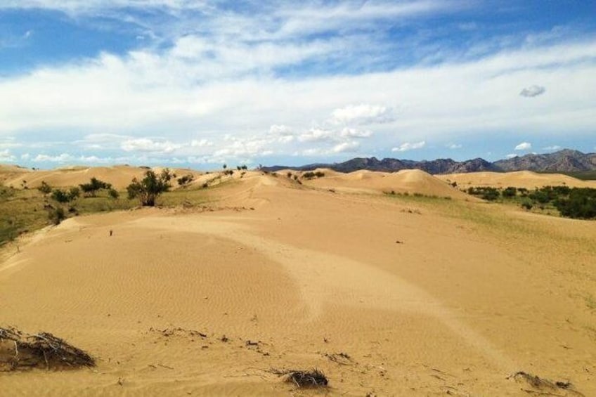 1 Day Semi-Gobi Tour Including Lunch And Free Camel +Bonus Khustai National Park