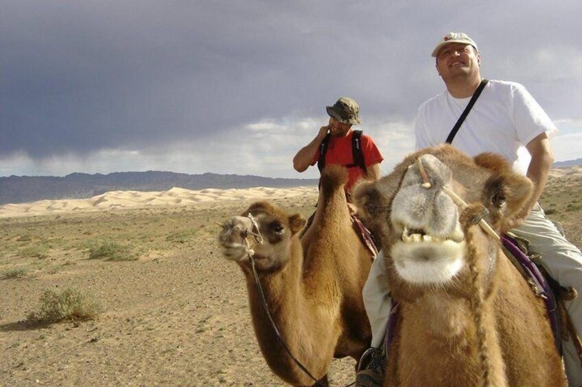 camels are friendly, don`t worry