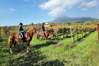 Pompeji: Vesuvius ratsastaa hevosen selässä.