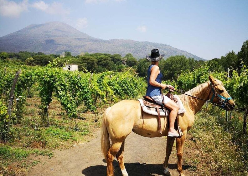 Picture 7 for Activity Pompeii: Ruins Tour and Mount Vesuvius Horseback Ride