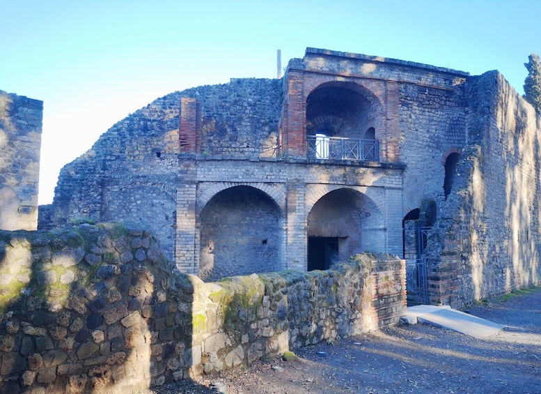 Picture 2 for Activity Pompeii: Ruins Tour and Mount Vesuvius Horseback Ride