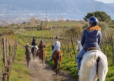 Pompeii: Ruins Tour and Mount Vesuvius Horseback Ride