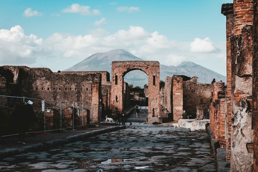 Picture 1 for Activity Pompeii: Ruins Tour and Mount Vesuvius Horseback Ride