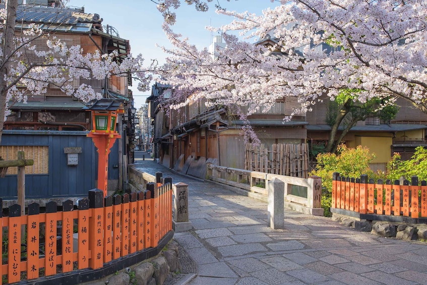 Picture 5 for Activity Higashiyama | Kyoto: Sakura Season Private Rickshaw Tour