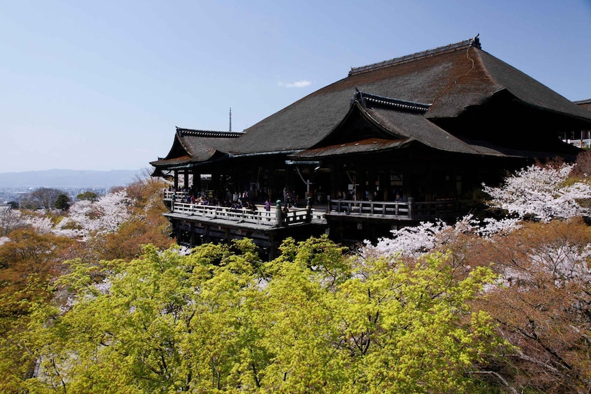 Picture 3 for Activity Higashiyama | Kyoto: Sakura Season Private Rickshaw Tour