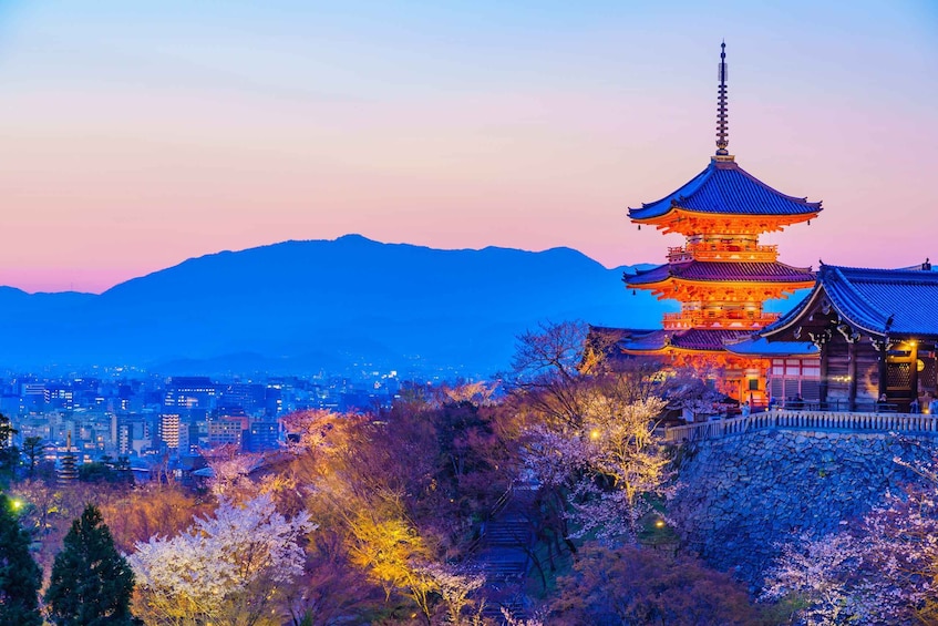 Picture 4 for Activity Higashiyama | Kyoto: Sakura Season Private Rickshaw Tour