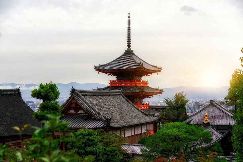 Picture 2 for Activity Higashiyama | Kyoto: Sakura Season Private Rickshaw Tour