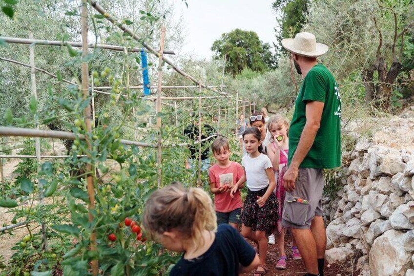 Education on nature and gastronomy first hand