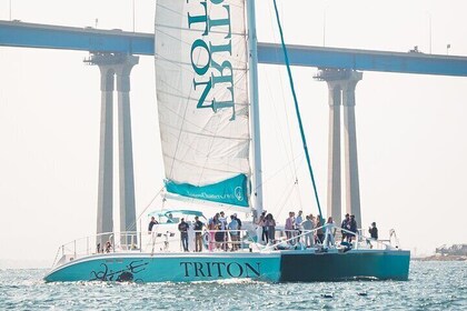 Harbour Cruise on the Largest Catamaran in San Diego Bay