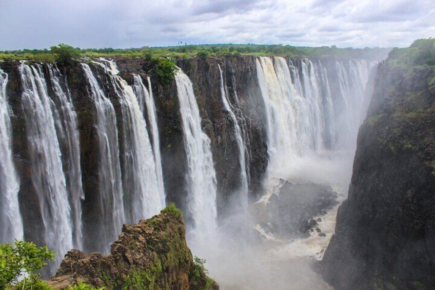 Private Guided Tour of Rain Forest Victoria Falls