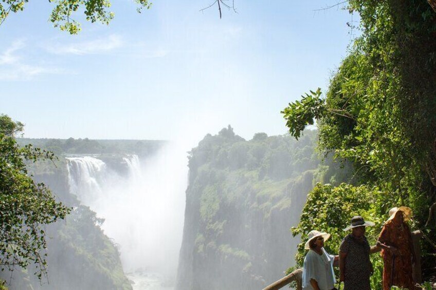 Private Guided Tour of Rain Forest Victoria Falls