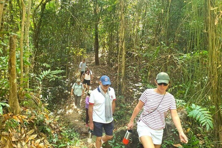 Jungle Trekking Tour at Phnom Kulen National Park from Siem Reap