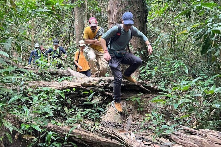 Jungle Trekking Tour at Phnom Kulen National Park from Siem Reap