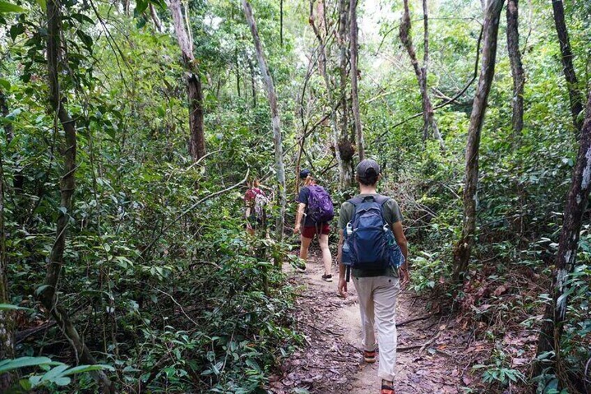 Rainforest Jungle Trekking Tour from Siem Reap 