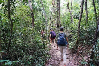 Jungle Trekking Tour at Phnom Kulen National Park from Siem Reap
