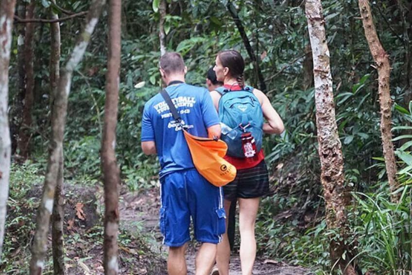 Rainforest Jungle Trekking Tour from Siem Reap 