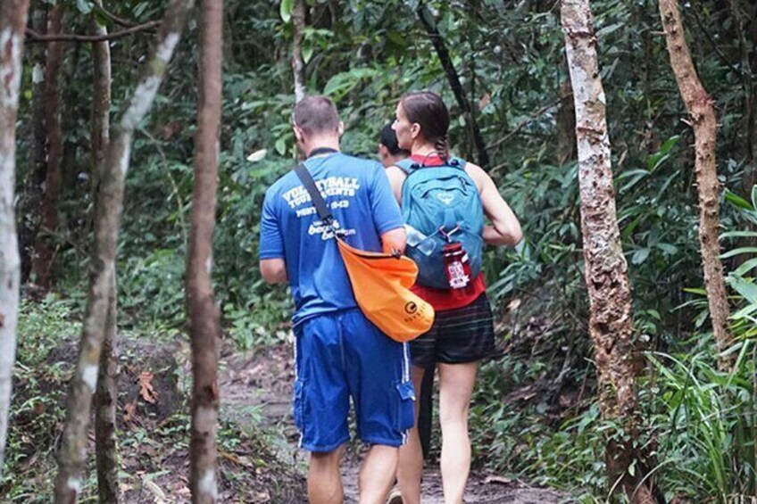 Rainforest Jungle Trekking Tour from Siem Reap