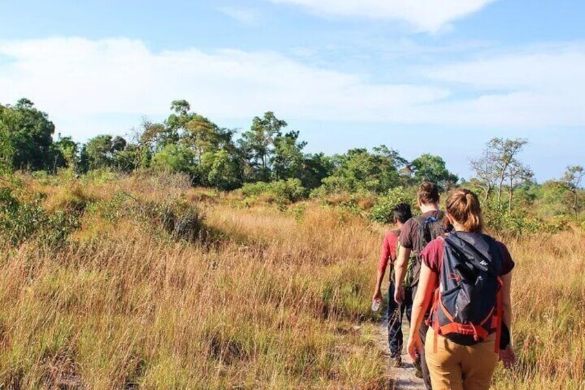 Rainforest Jungle Trekking Tour from Siem Reap 