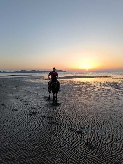 Horseback riding in Durrës