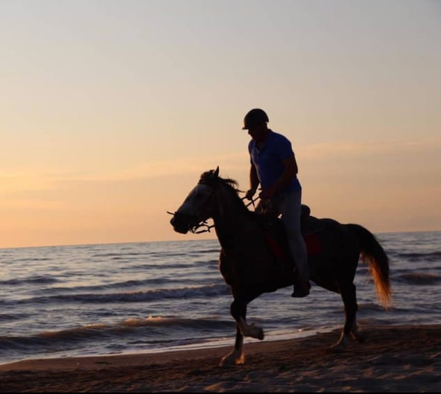 Horseback riding in Durrës