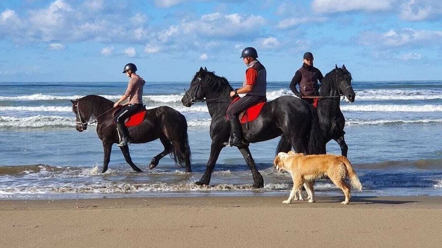 Horseback riding in Durrës