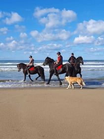 Horseback riding in Durrës