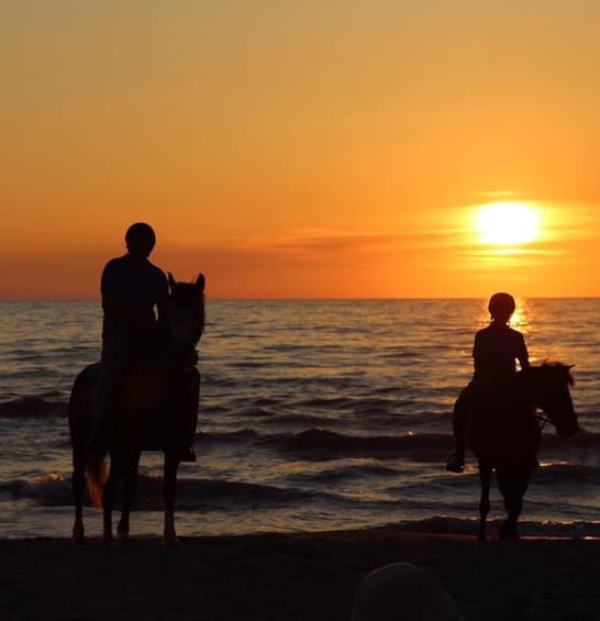 Horseback riding in Durrës