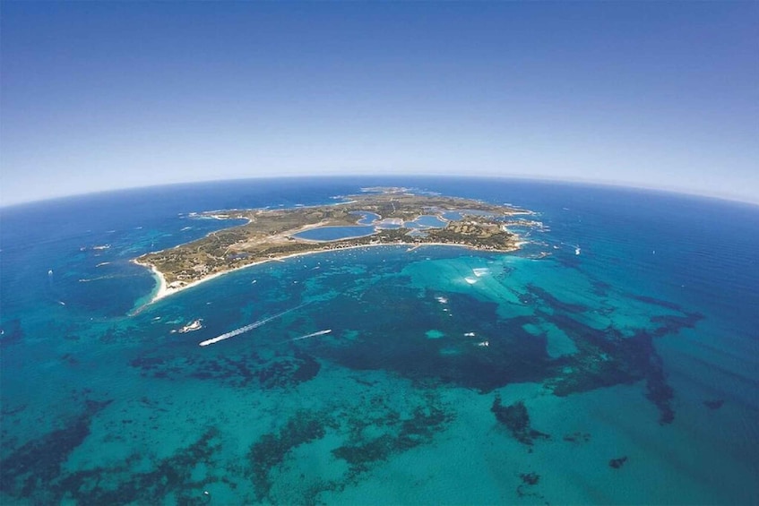 Picture 4 for Activity From Perth: Rottnest Island Ferry & Admission