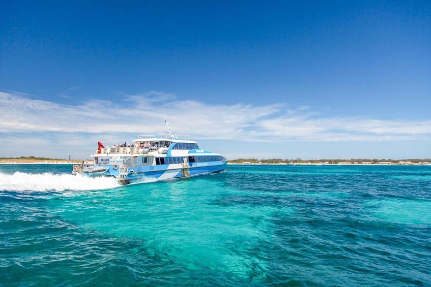 Picture 2 for Activity From Perth: Rottnest Island Ferry & Admission