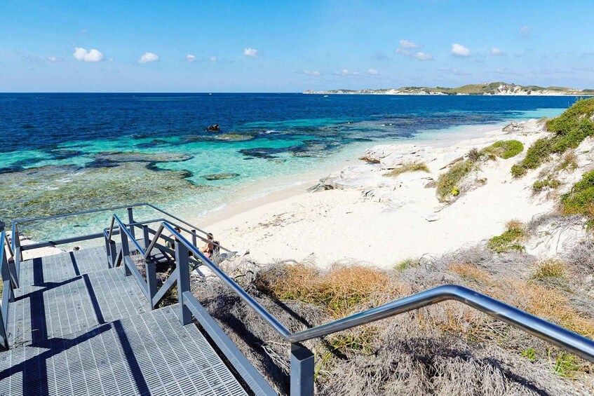 Picture 3 for Activity From Perth: Rottnest Island Ferry & Admission