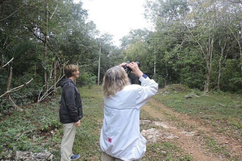 Small-Group Birdwatching Sian Kaan with professional guide