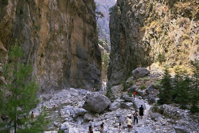 Agia Irini Gorge and Sougia Beach Tour