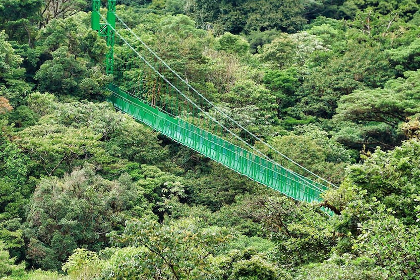 Monteverde Hanging Bridges, Sloth & Butterfly Garden