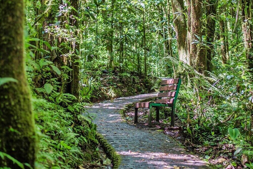 Monteverde Hanging Bridges, Sloth & Butterfly Garden