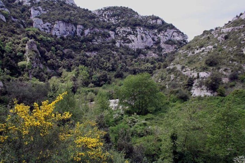 Guided Trekking to Cavagrande del Cassibile in Sicily