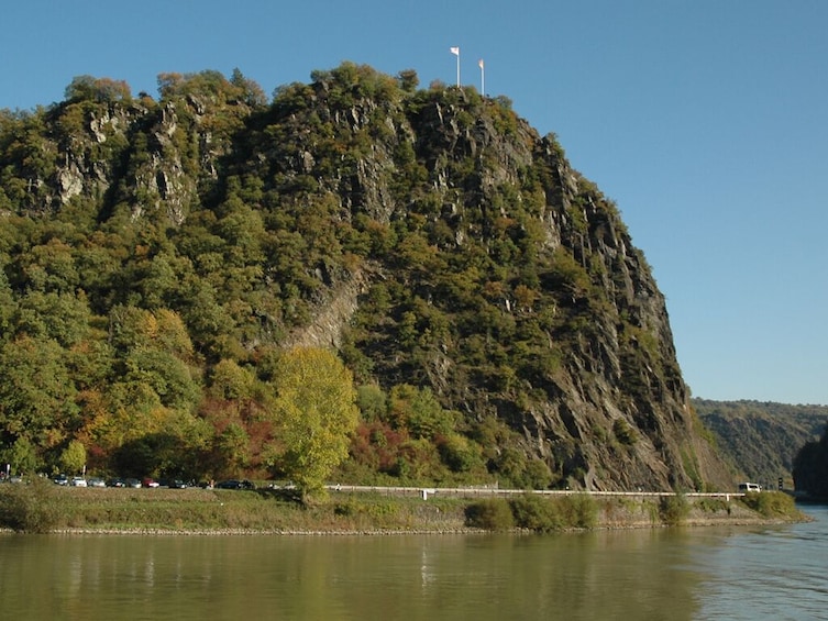 Full Day Rhine Valley Trip