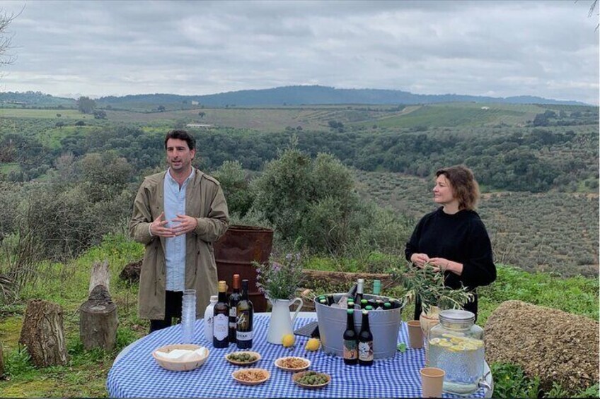 Authentic Olive Oil Tasting in Córdoba, Spain