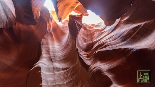 1 journée à Antelope Canyon et Horseshoe Bend - Entrée incluse