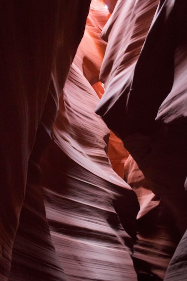 1 Day Antelope Canyon and Horseshoe Bend -Admission included