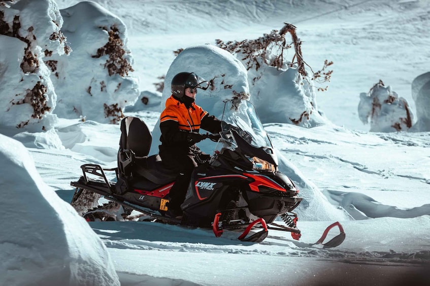 Picture 4 for Activity Ylläs: Wilderness Snowmobile Tour